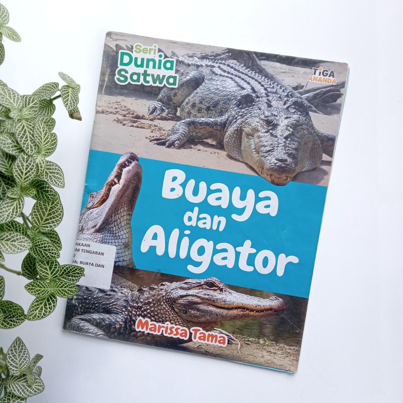Sampul buku SERI DUNIA SATWA: BUAYA DAN ALIGATOR