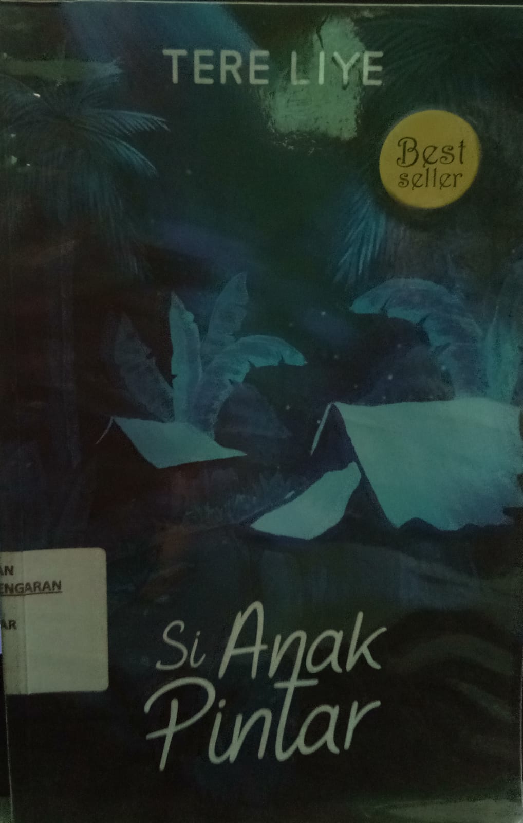 Sampul buku NOVEL ANAK :SI ANAK PINTAR