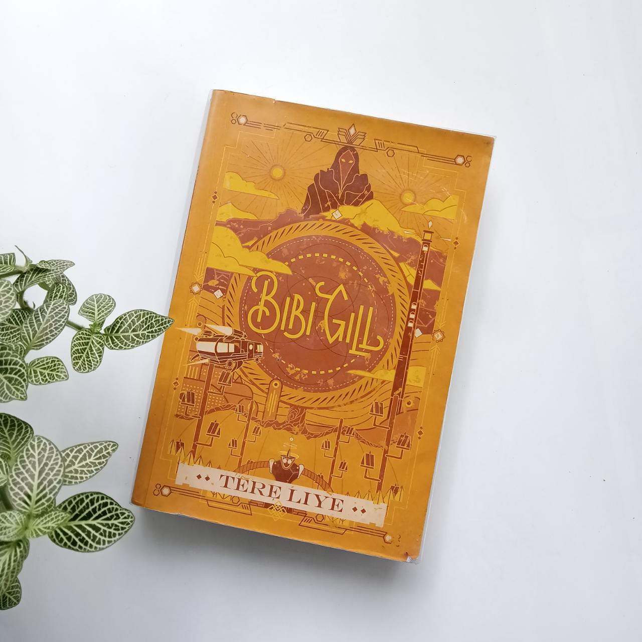 Sampul buku BIBI GILL