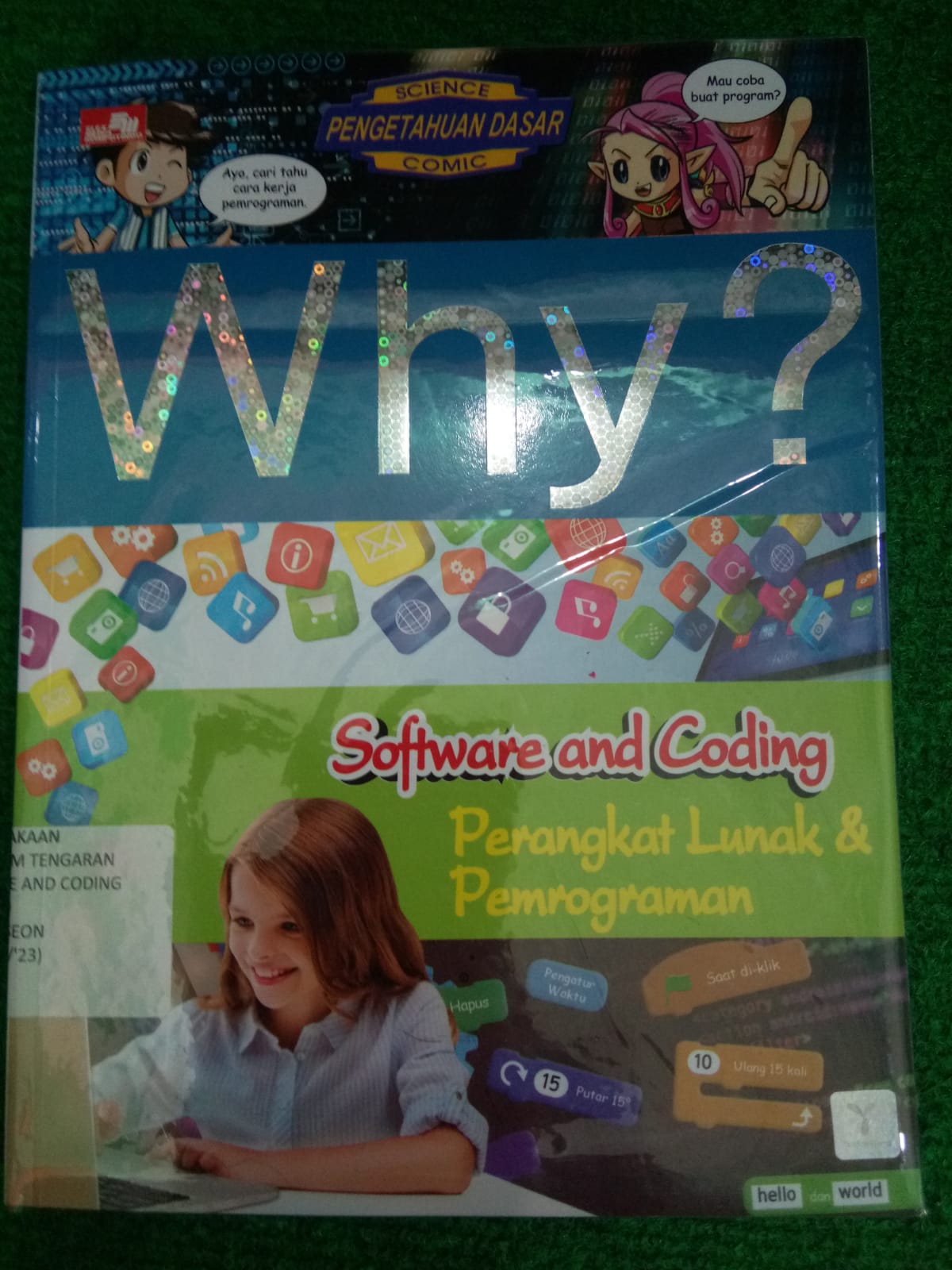 Sampul buku WHY? : SOFTWARE AND CODING