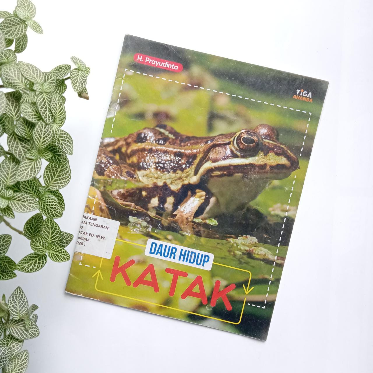 Sampul buku DAUR HIDUP KATAK ED. NEW