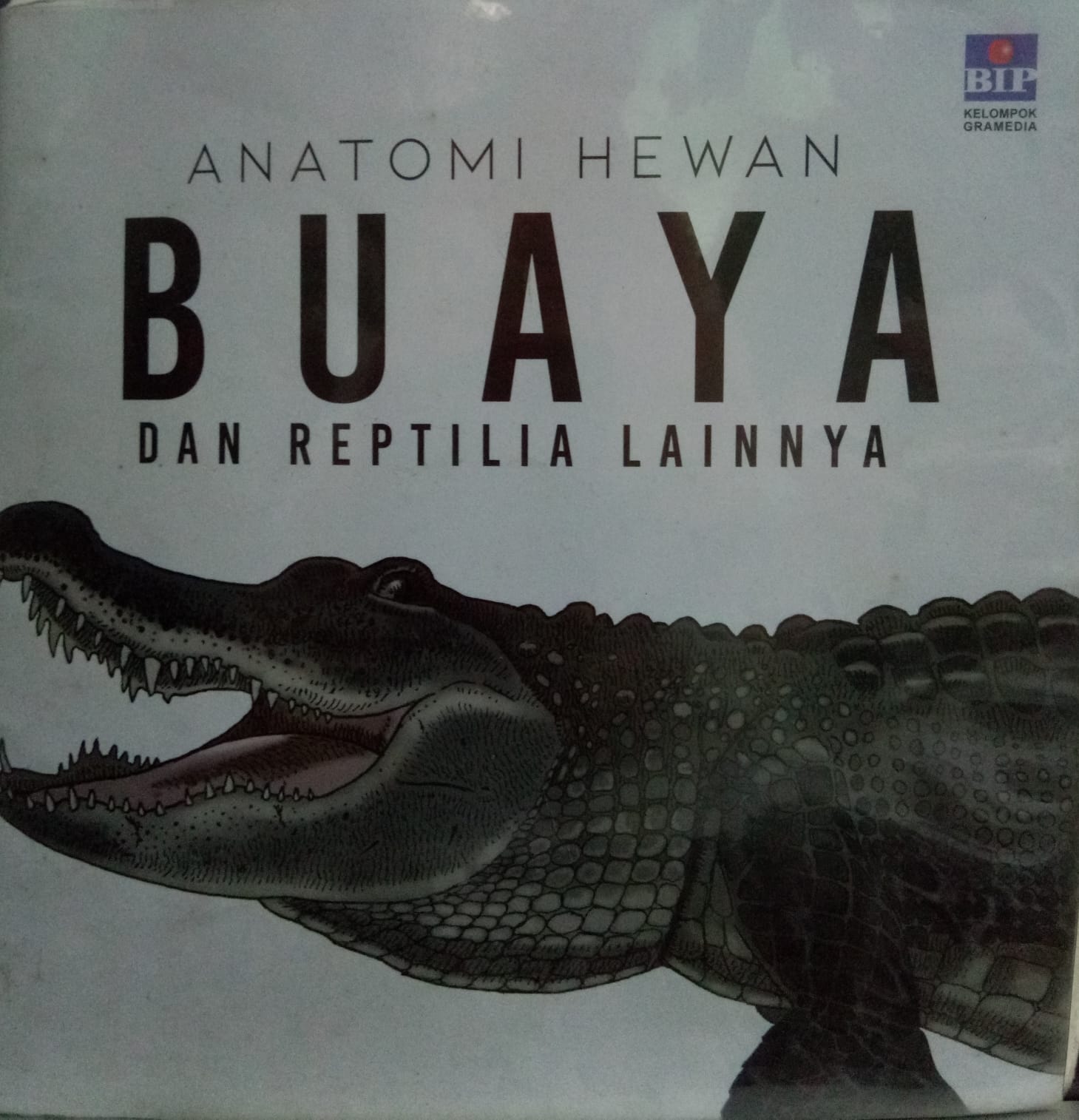 Sampul buku ANATOMI HEWAN BUAYA DAN REPTILIA LAINNYA