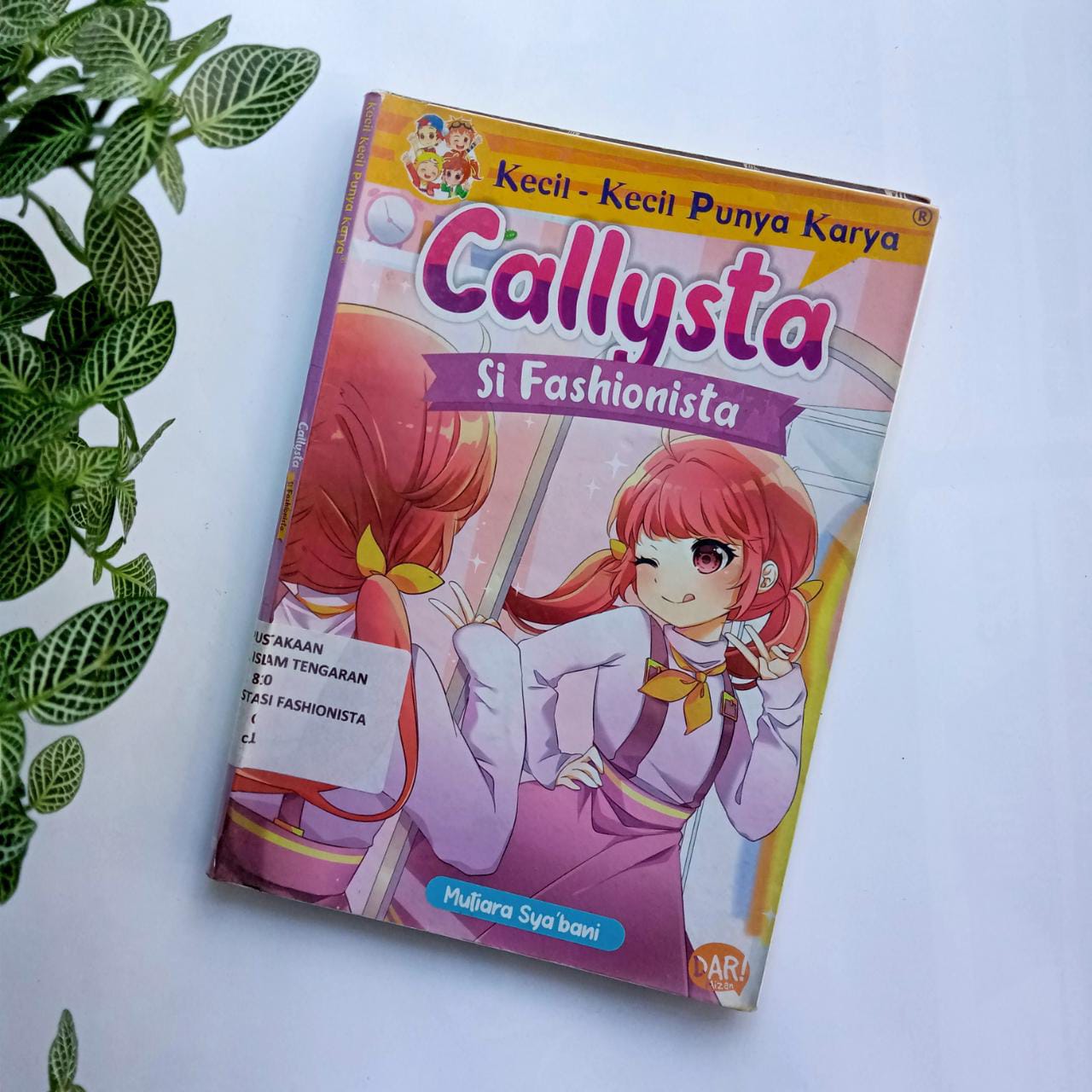 Sampul buku KKPK : CALLYSTASI FASHIONISTA