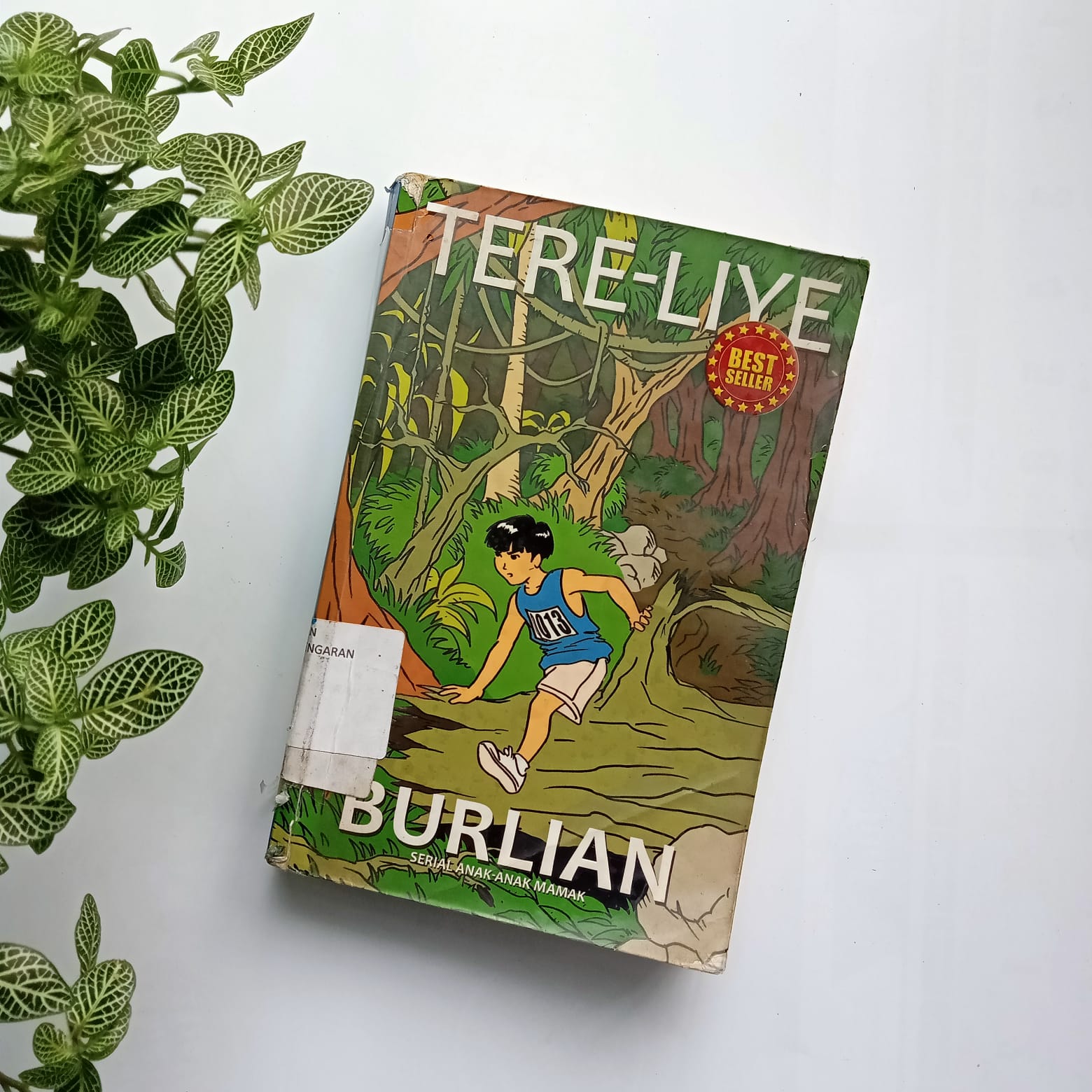 Sampul buku BURLIAN