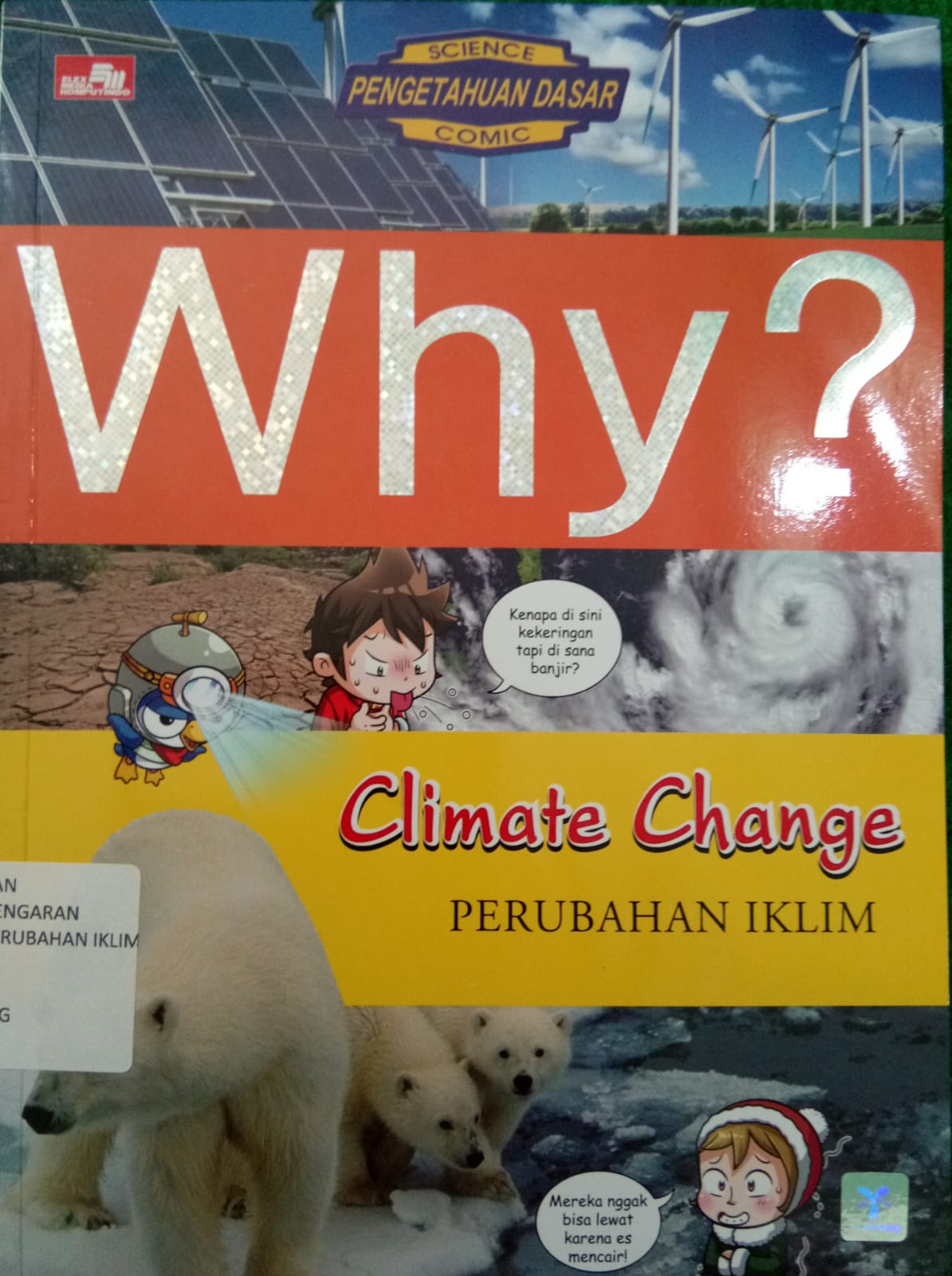 Sampul buku WHY : CLIMATE CHANGE ( PERUBAHAN IKLIM )