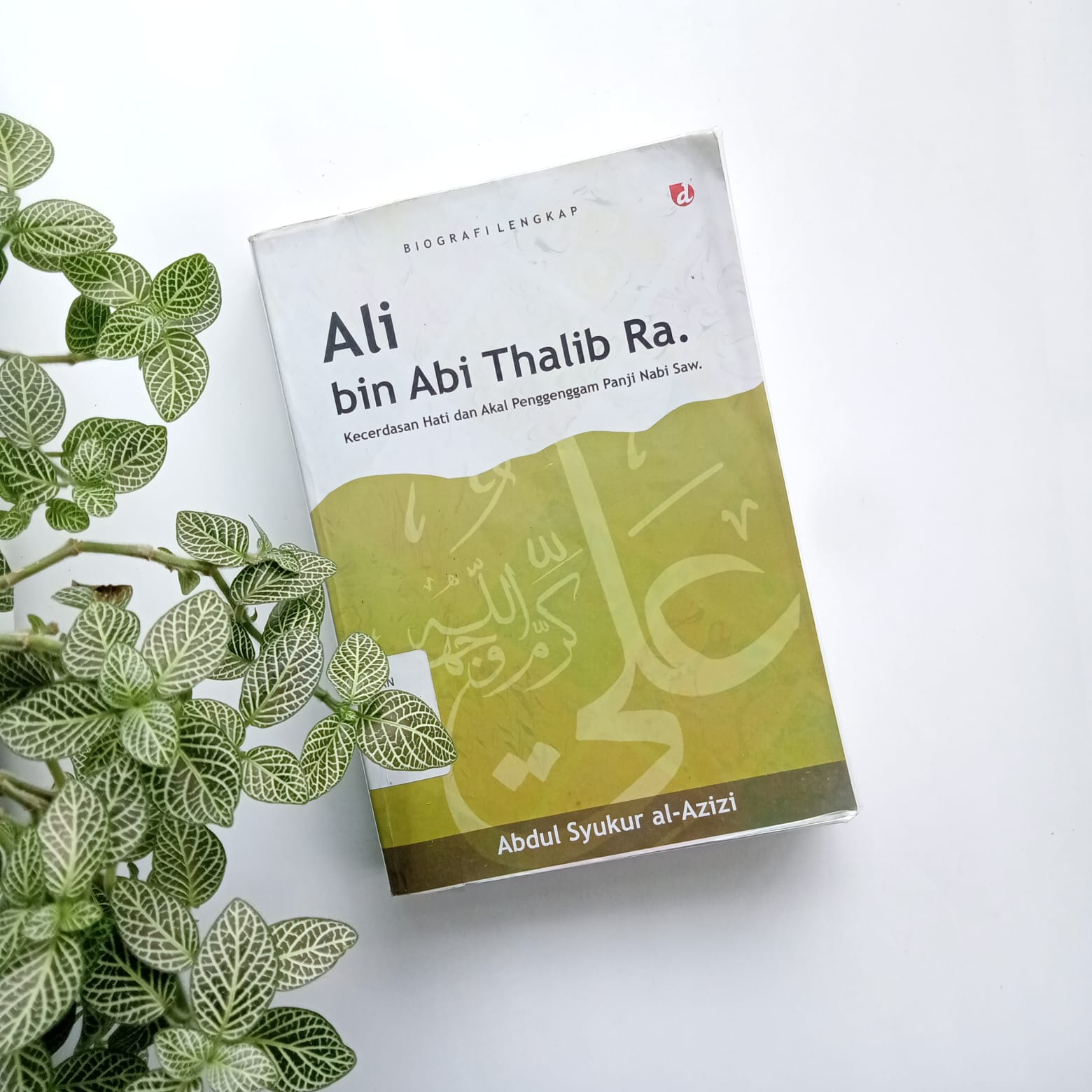 Sampul buku BIOGRAFI LENGKAP ALI BIN ABI THALIB RA.
