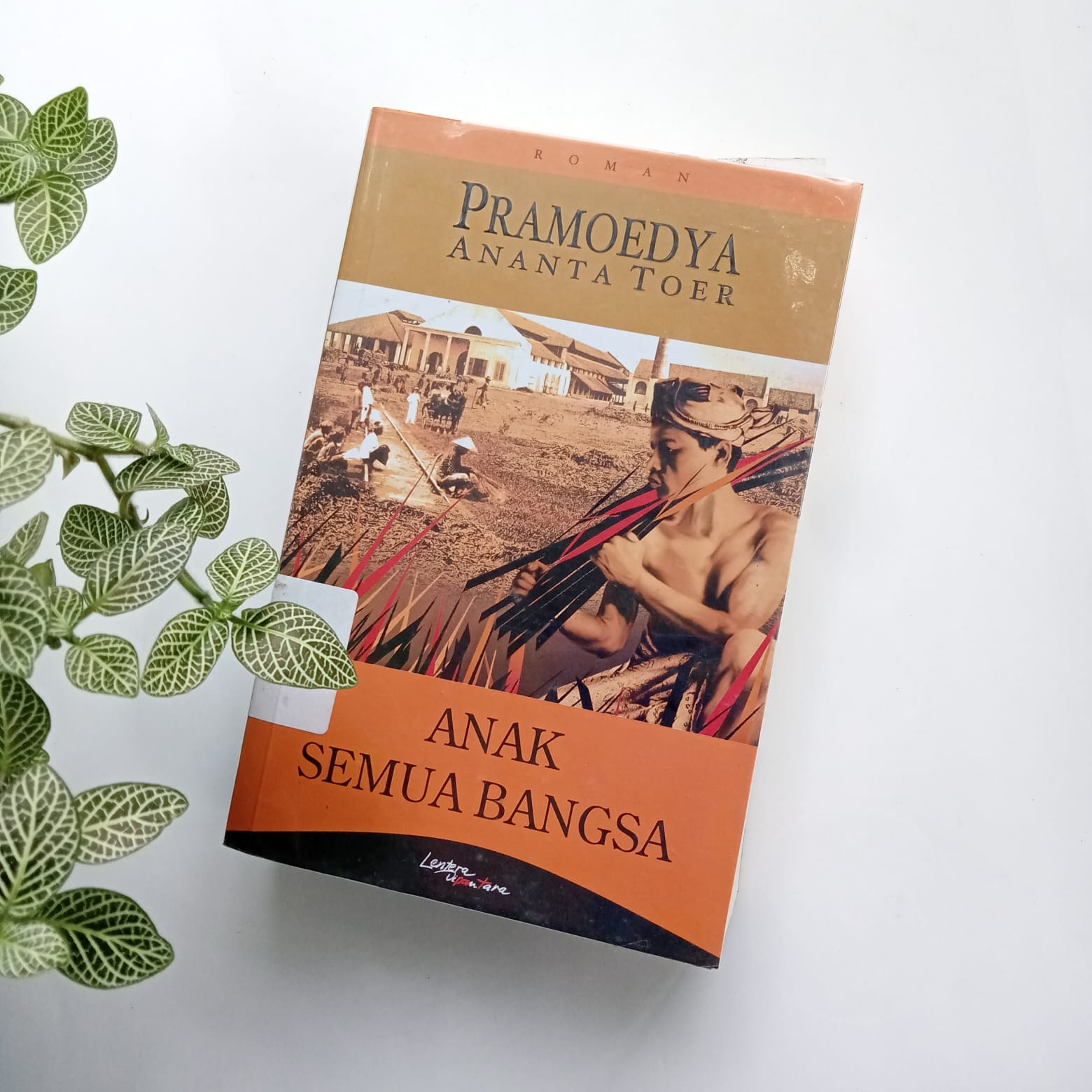 Sampul buku ANAK SEMUA BANGSA