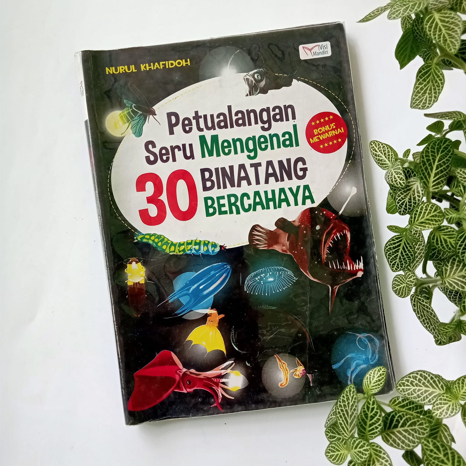 Sampul buku PETUALANGAN SERU MENGENAL 30 BINATANG BERCAHAYA