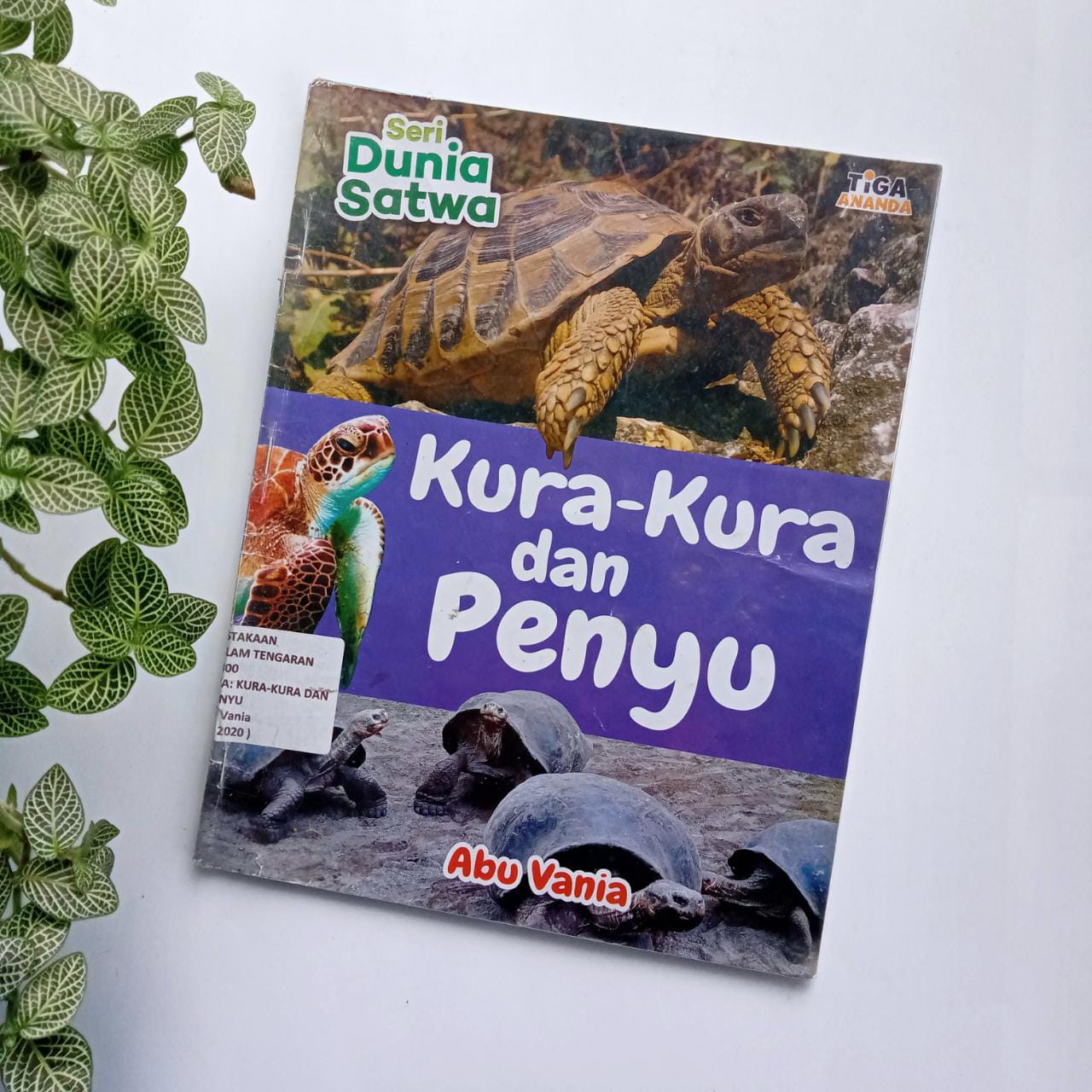 Sampul buku SERI DUNIA SATWA: KURA-KURA DAN PENYU