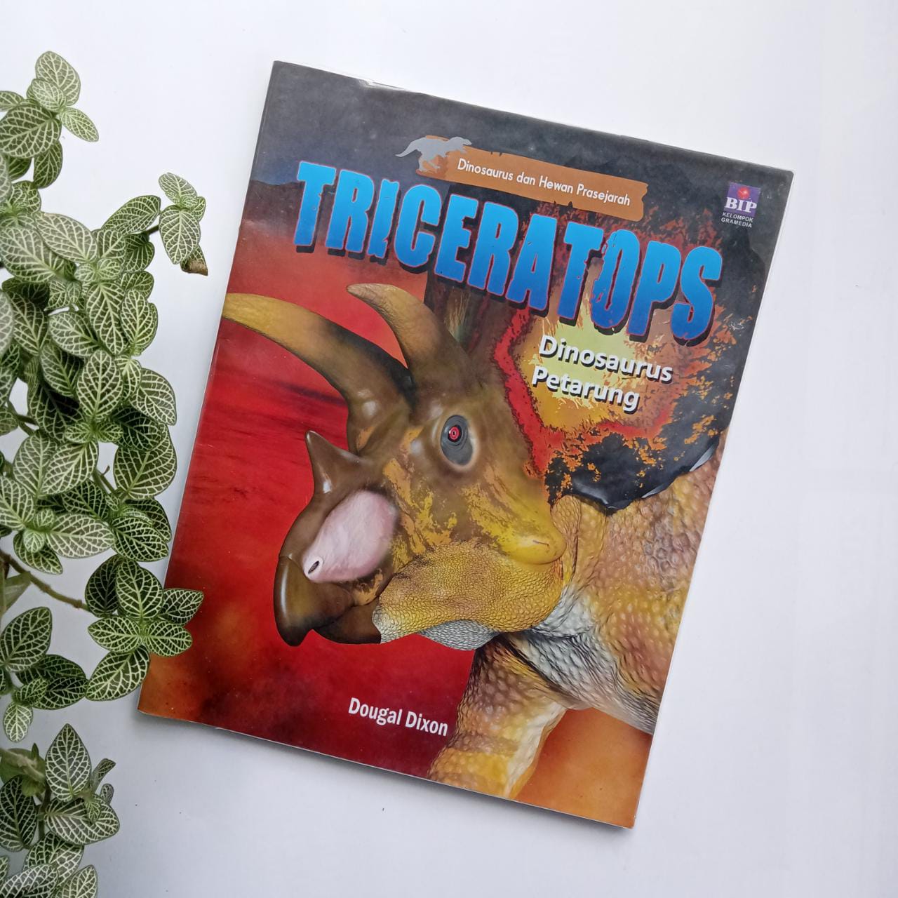 Sampul buku TRICERATOPS