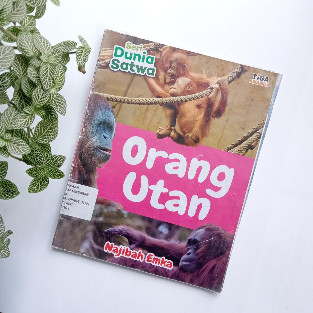 Sampul buku SERI DUNIA SATWA: ORANG UTAN