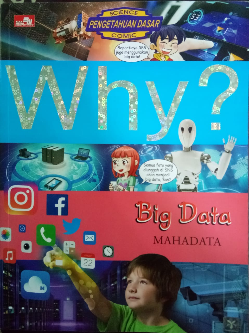 Sampul buku WHY? : BIG DATA